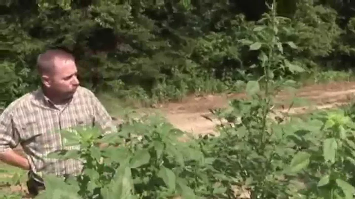 Dr. Larry Steckel on the Superweed Myth