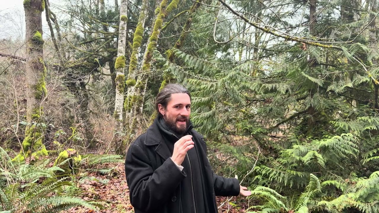 How To Clear Your Energy 