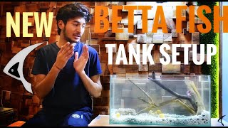 Betta fish tank setup | NO Filter & No Oxygen