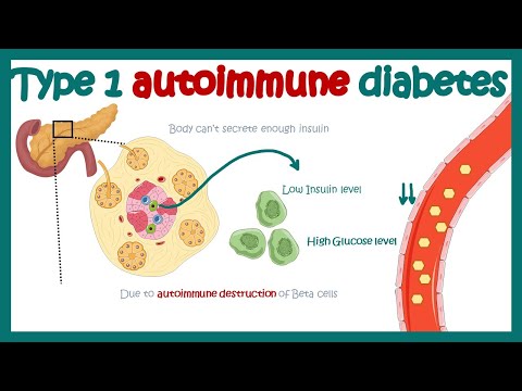 Video: Veiligheid, Effectiviteit En Kosten Van Langwerkende Versus Middellangwerkende Insuline Voor Type 1 Diabetes: Protocol Voor Een Systematische Review En Netwerkmeta-analyse