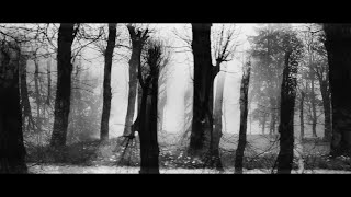 DIM LANDS // The Crack Between Worlds (Official Video)