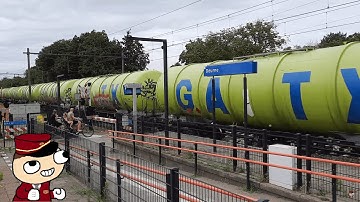 Vectron MEGAHORN! | When you meet a colleague