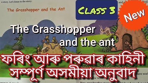 The Grasshopper and ant /Class 3 / clouds /অসমীয়া অনুবাদ #class3 #reading #class#ants#grasshopper