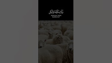 " لن ينال الله لحومها ولا دماؤها ولكن يناله التقوى منكم" #تلاوات #عيد_الاضحى