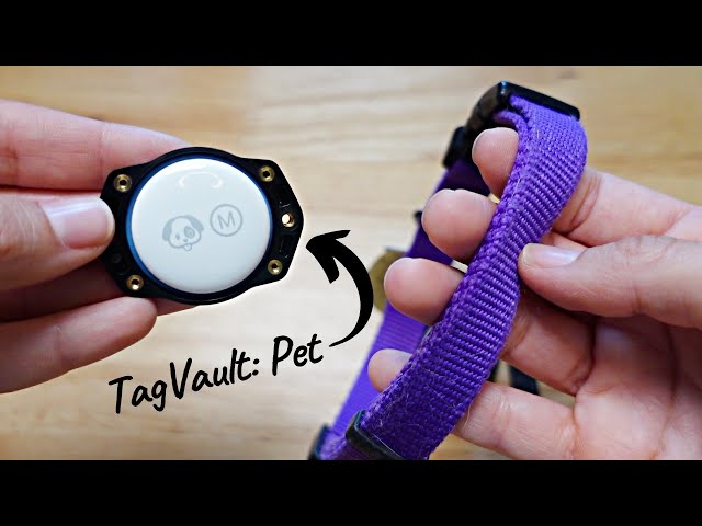 How to make an AirTag holder for your pet's collar - The Verge