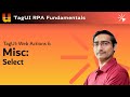 TagUI Miscellaneous WebAction Select Example