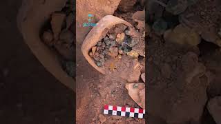 كنز مد.فون تحت الرمل .. أسرار الذهب العباسي تظهر في القصيم