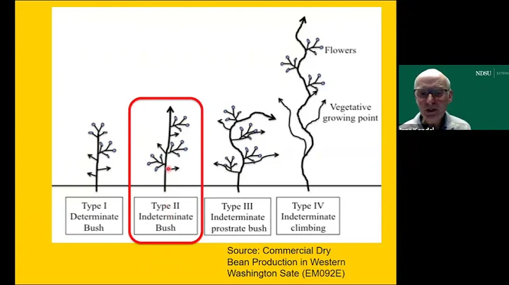 2022 Getting It Right Dry Bean Production:  Variety review and plant development with Hans Kandel
