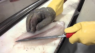 How To Fillet Lemon Sole - by Dean Grooby Knifetechnz Ltd