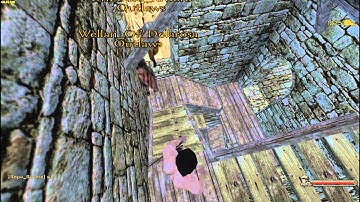 Persistent World - Interesting Moments #2 (Various Servers)