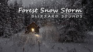 Forest Snow Storm Ambient 3 Hours Of Blizzard Sounds Snowy Cabin