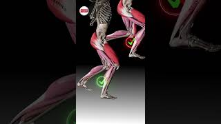 🚫 Common Lunge Mistake