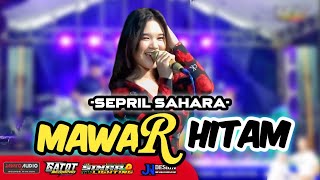 16 MAWAR HITAM SEPRIL SAHARA