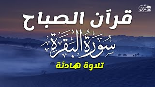 قرآن الصباح | سورة البقرة لحفظ وتحصين المنزل وجلب البركة | بصوت الشيخ عبد الرحمن السديس - جودة عالية