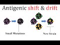 Antigenic shift and drift