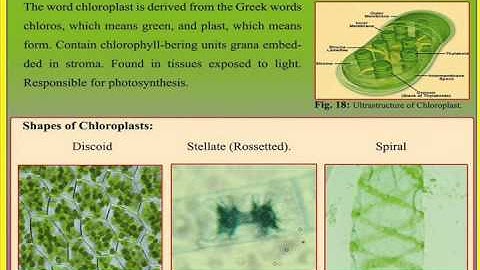 Bioinformatics first year lecture 1