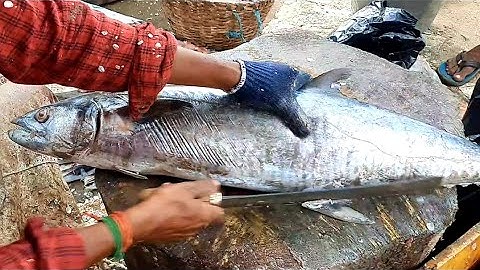 8kg Huge Seer Fish Cutting/Very Thin Slice 50 Pieces/Fish Cutting Skill