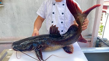 Lẩu cá lăng đỏ măng chua ngon nhất // Sơn Hào