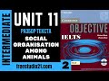 IELTS Intermediate | SB |  Unit 11 | текст Social Organisation Among Animals -2