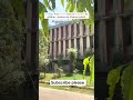 6 mahine ka course 3 mahine mein khatm 😅#iertprayagraj #allahabaduniversity #iitstudents #iert