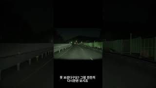 제 차가 저보다 먼저 봤습니다. 테슬라