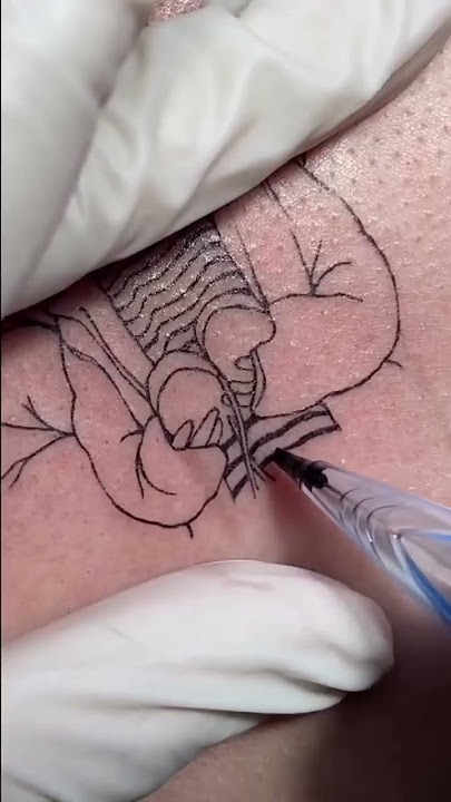 Tattoo design no sensor #tattoo #tattoolover #tattoodesign