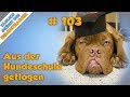 Tgh 103  aus der hundeschule geflogen  hundeschule stadtfelle