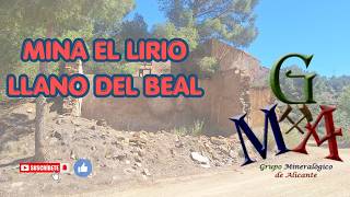 Mina El Lirio, Llano del Beal