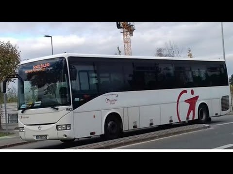 Bus 9101 Evry Gare - Brunoy Gare Strav 662
