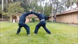 Kata/ Taolu / Poomsae - what's the purpose of the forms screenshot 2