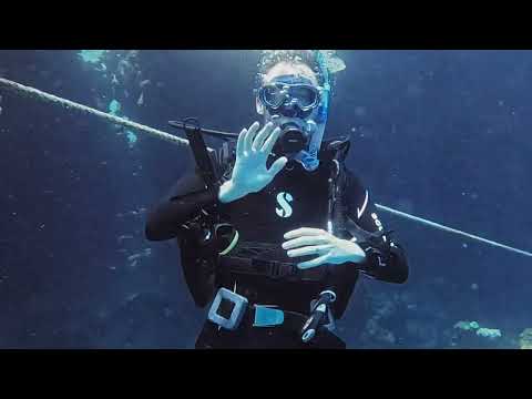 Diving at Far Garden Reef - Oasis Blue Bay Resort - Sharm El Sheikh