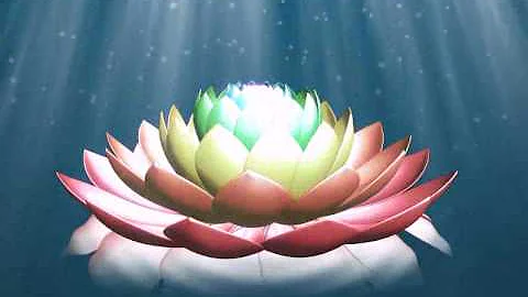 Lotus flower animation - DayDayNews
