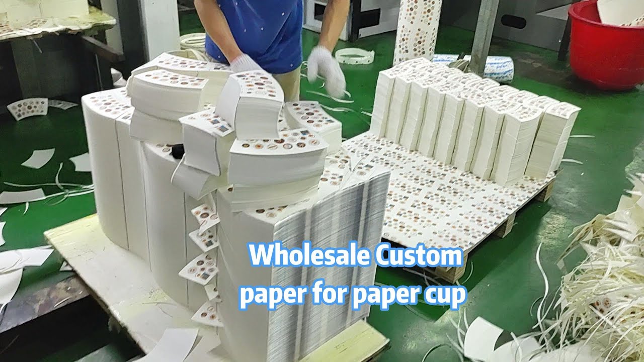 Wholesale raw materials for paper cups - YouTube