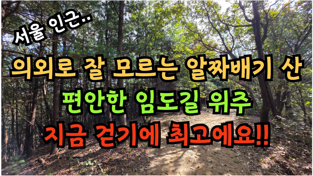 서울 인근 / 의외로 잘 모르는 알짜배기 산 / 편안한 임도길 위주 / 지금 걷기에 최고에요 / 초보등산