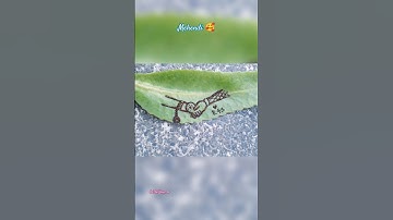 wedding special Mehedi🥰_#mehendi#mehendiart#mehendidesign#mehedi#art#artist#artwork#views#everyone