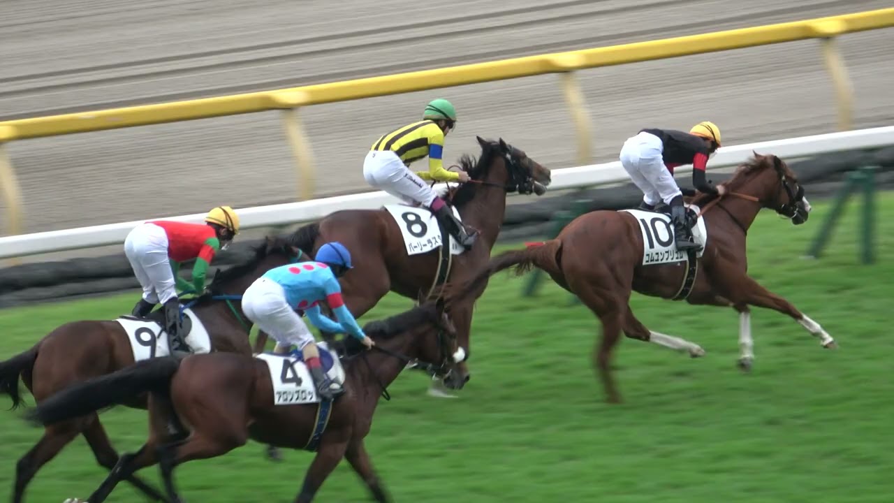 新馬戦】アーモンドアイの仔をしりぞけ逃げ切って初陣を飾るパーリー