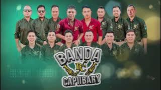 Banda Capiibary - Enredadita