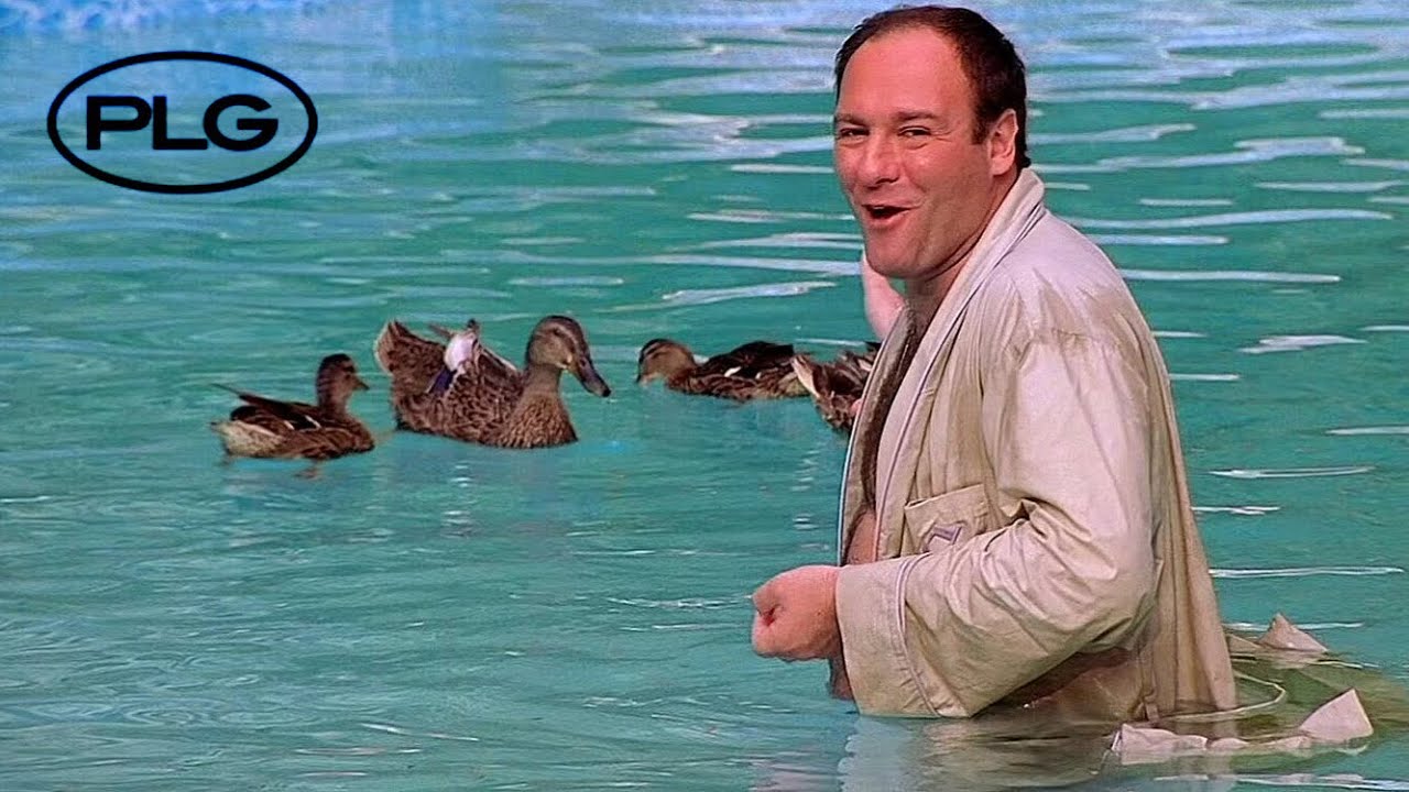 [FREE FOR PROFIT] EARL SWEATSHIRT X THE ALCHEMIST TYPE BEAT - DUCK