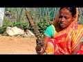 RURAL LIFE OF BENGALI COMMUNITY IN ASSAM, INDIA , Part -  60   ...