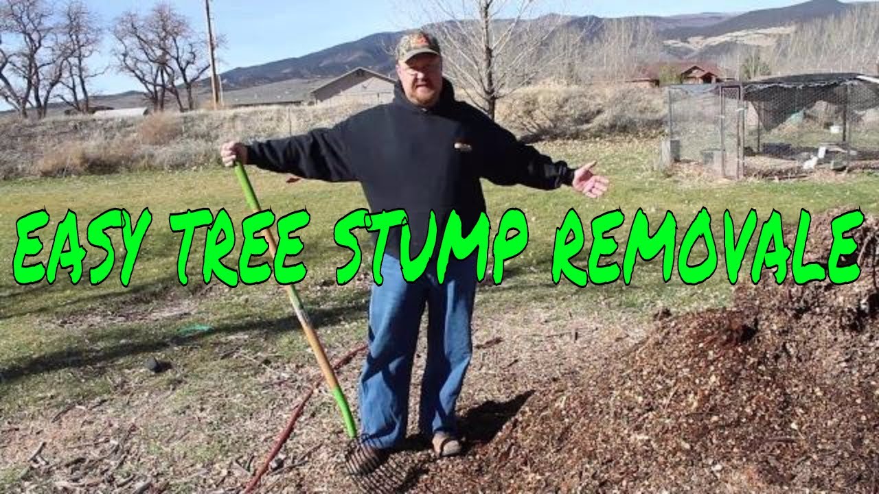 How To Get Rid Of A Tree Stump Naturally YouTube how-to-get-rid-of-a-tree-stump-naturally-youtube