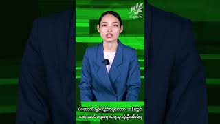 မဲဆောက် ချစ်ကြည်ရေးတံတားအနီးတွင် တရားမဝင် ဈေးရောင်းချသူ သုံးဦး ဖမ်းဆီးခံရ