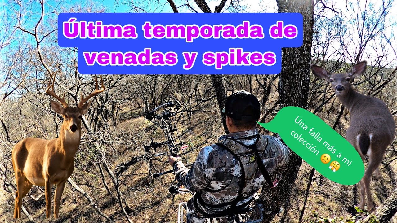 Caza de venado cola blanca con arco Texas whitetail deer bow and arrow