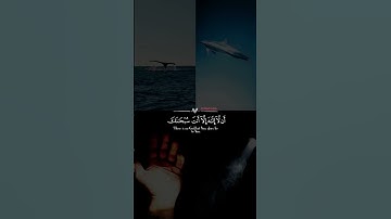لا أله الا أنت سبحانك اني كنت من الظالمين 🤍🎧 #اذكار #القرآن_الكريم #قرآن #تلاوة_خاشعة #يونس