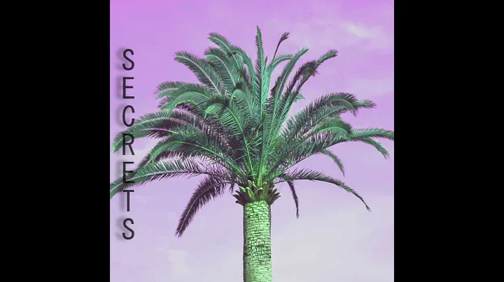 David Zimmer - Secrets