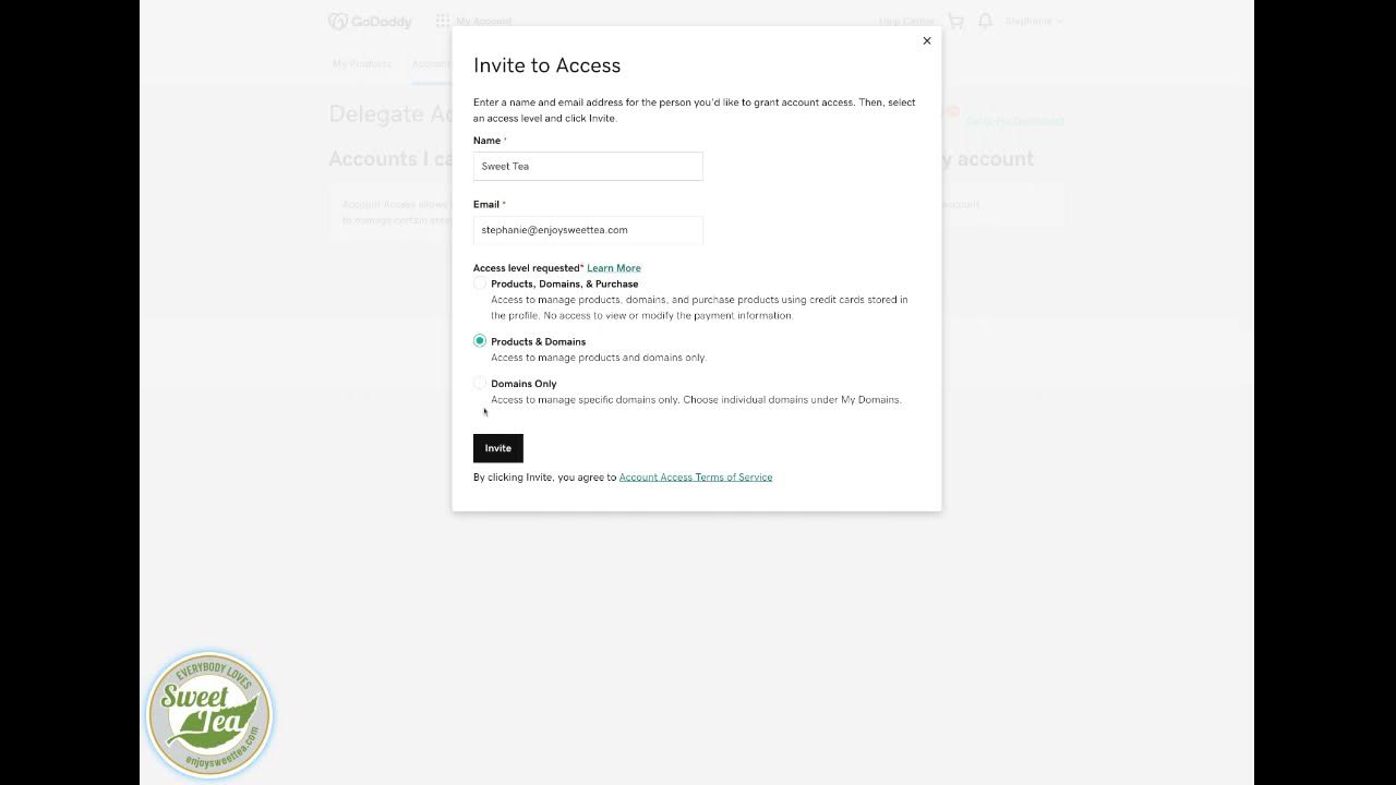 How to add delegate access to GoDaddy Account YouTube