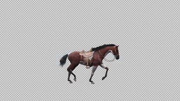 3D Horse Trot