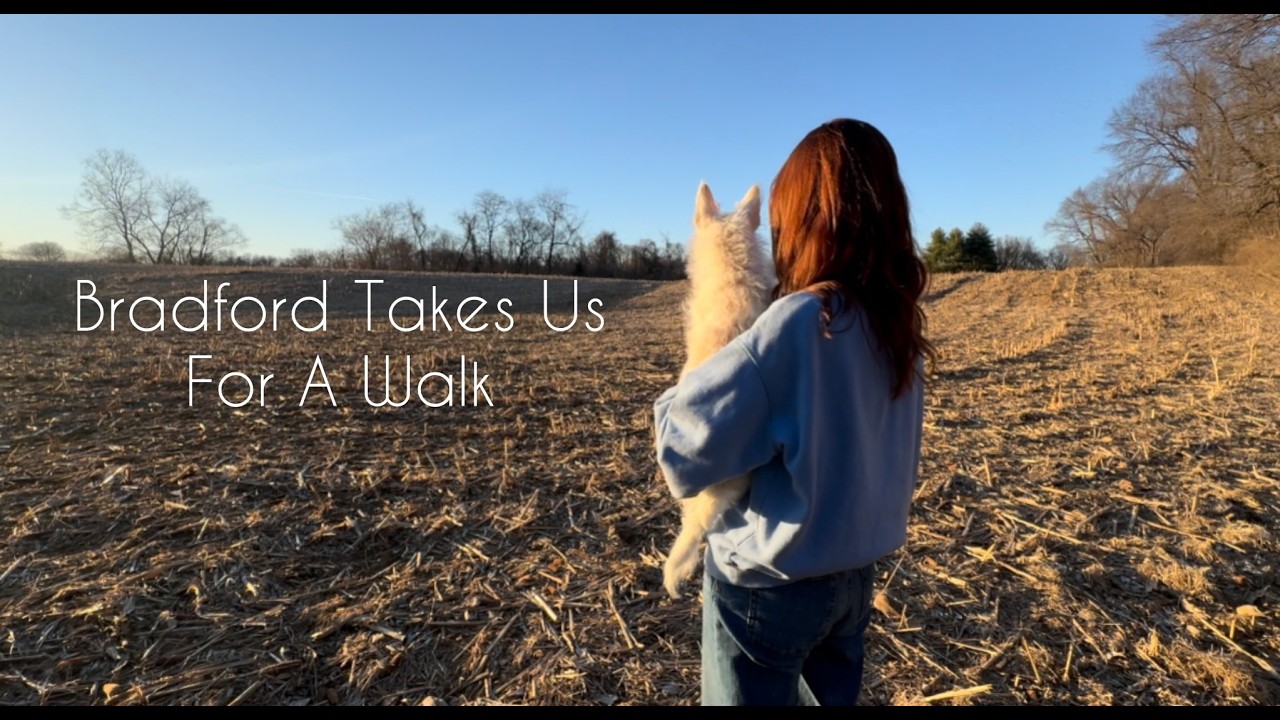 Брэдфорд выводит нас на прогулку