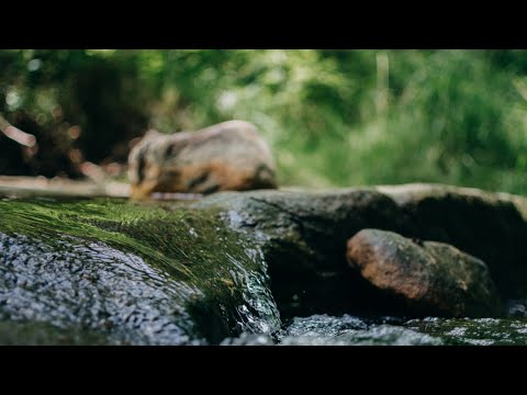 Videó: Hogyan kell kezelni a család elutasítását (miközben erőt és ellenállóképességet építünk)