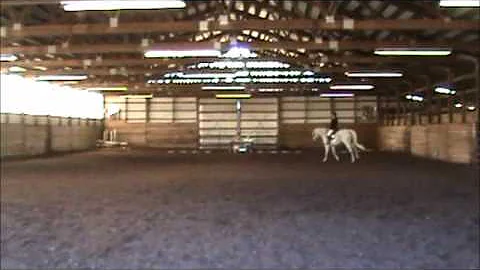 Rebekah Larimer- Training Level