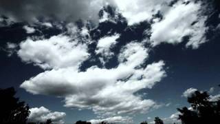 High-contrast Cumulus forming over trees in blue sky timelapse HD V09310